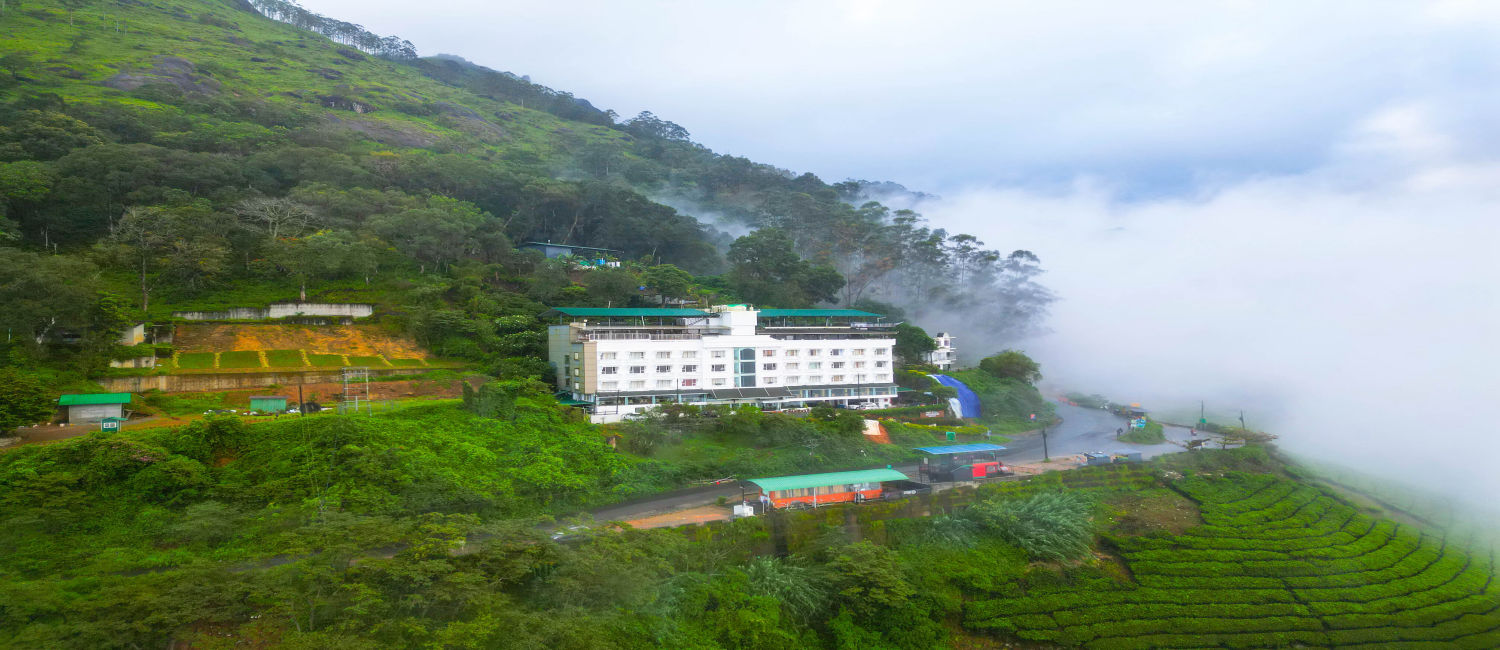 Misty Mountain Resort